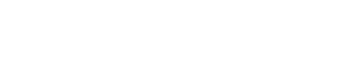 CEO Signature